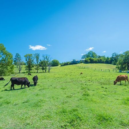 Jacaranda Creek Farmstay & B&B Sunshine Coast Exterior photo