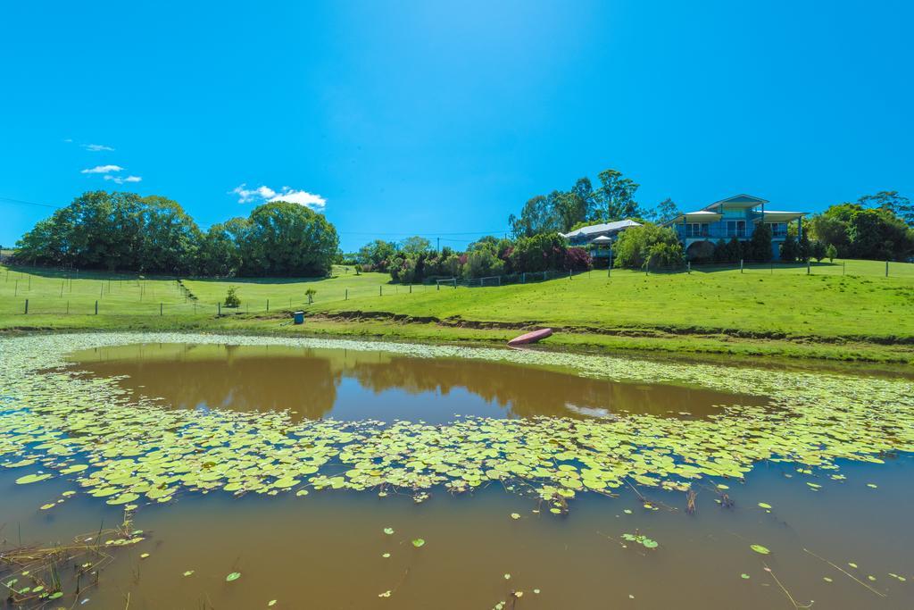 Jacaranda Creek Farmstay & B&B Sunshine Coast Exterior photo